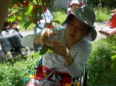 s2014.6.10 1.jpg